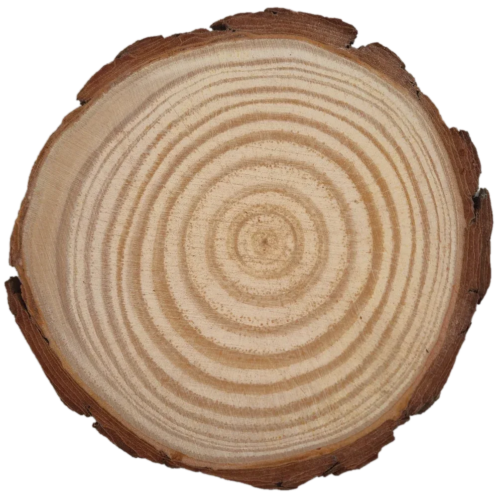 Rohling Baumscheibe ca. 12 cm mit Fotogravur