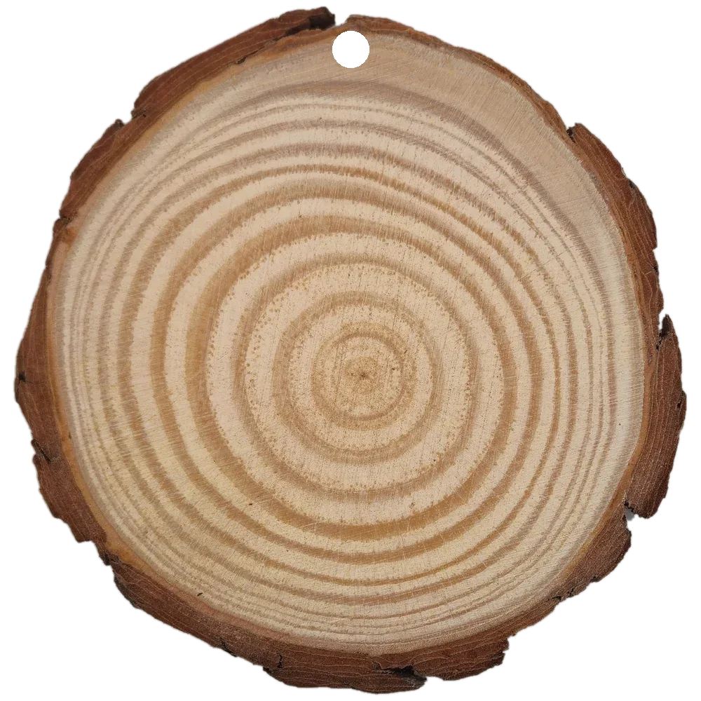 Rohling Baumscheibe zum Aufhängen ca. 8 cm mit Fotogravur