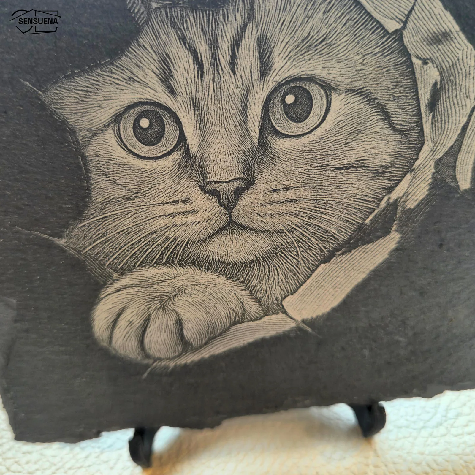 Detail der Fotogravur einer Katze auf Schiefer